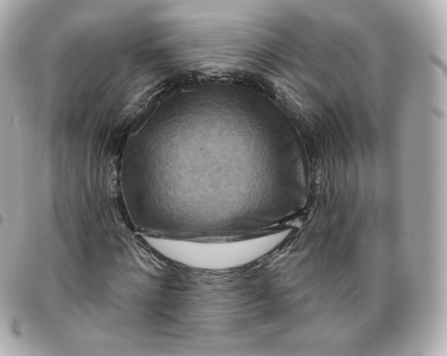 X0000095880868200802011042