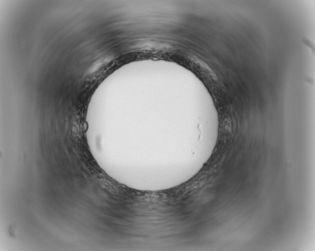 X0000095880869200802011042