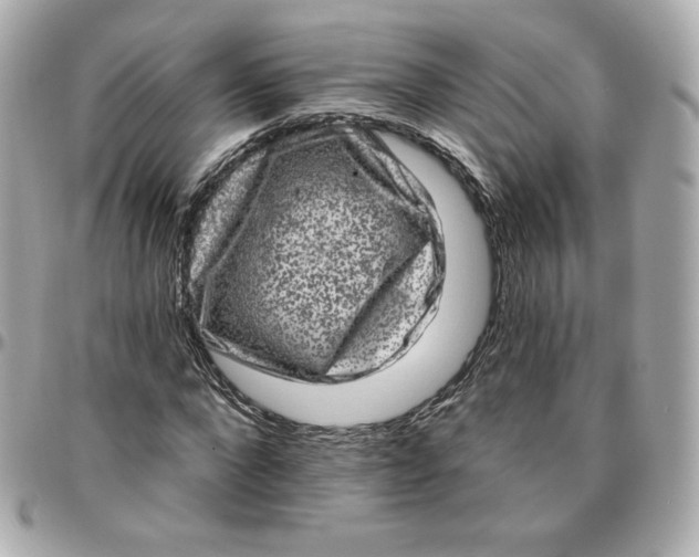 X0000095880872200802011042