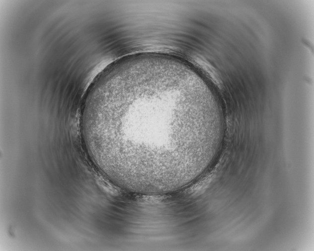 X0000095880875200802011042