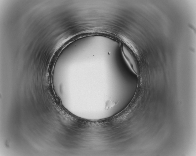 X0000095880876200802011042