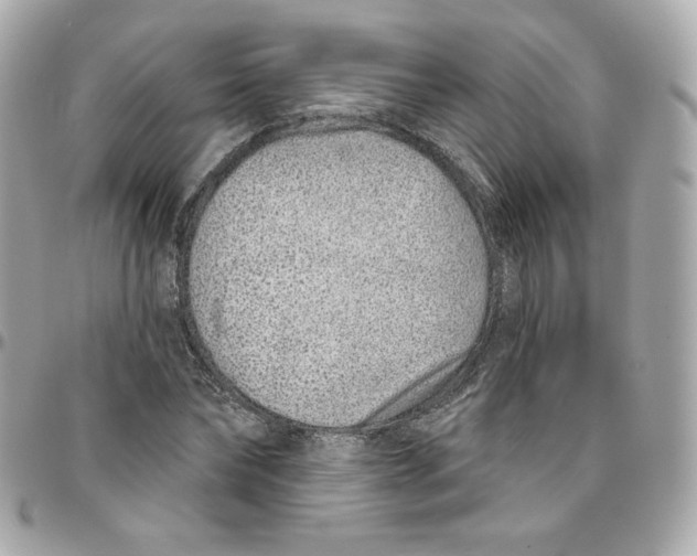 X0000095880878200802011042