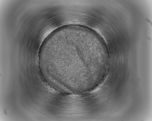 X0000095880879200802011042