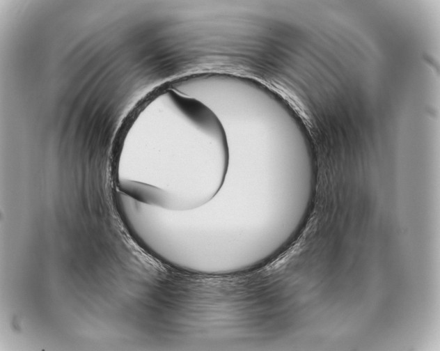 X0000095880880200802011042