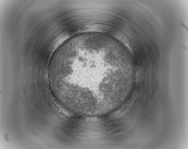 X0000095880882200802011042