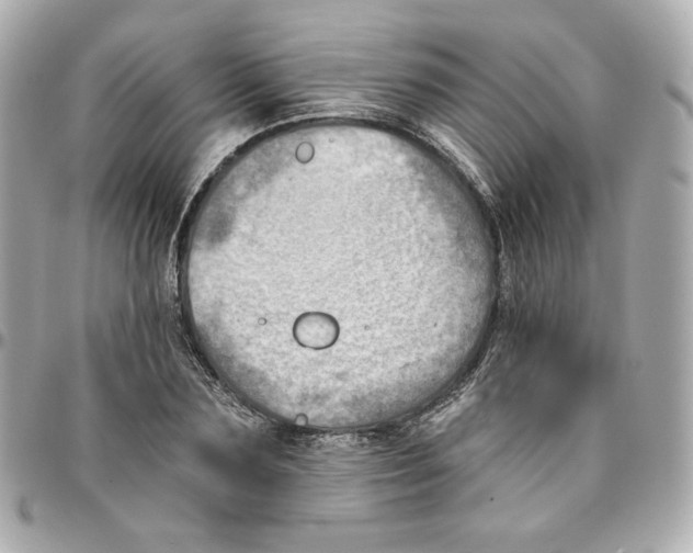 X0000095880883200802011042