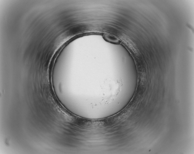 X0000095880884200802011042