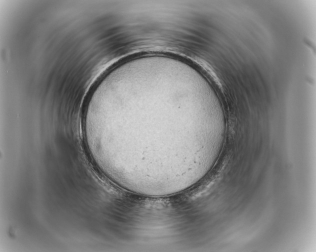 X0000095880887200802011042