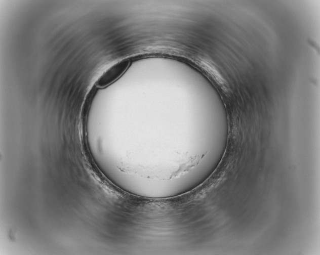 X0000095880888200802011041