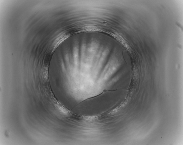 X0000095880889200802011041