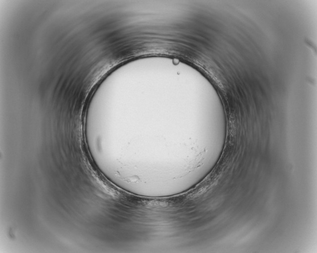 X0000095880890200802011041