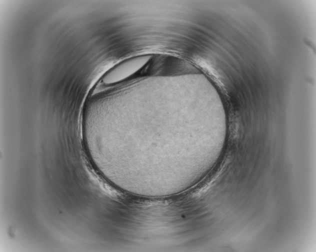 X0000095880892200802011041