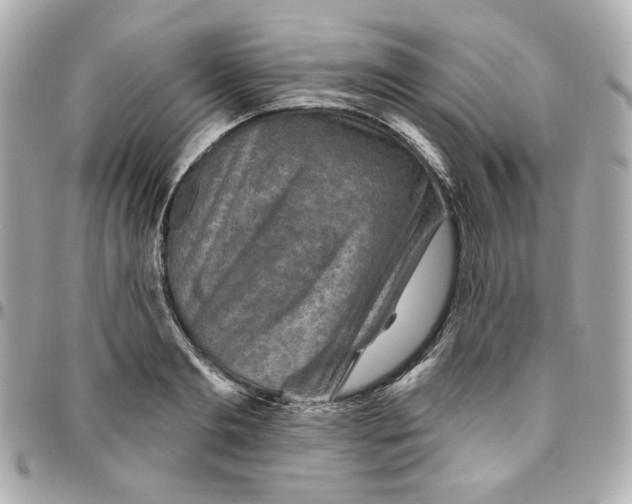 X0000095880893200802011041