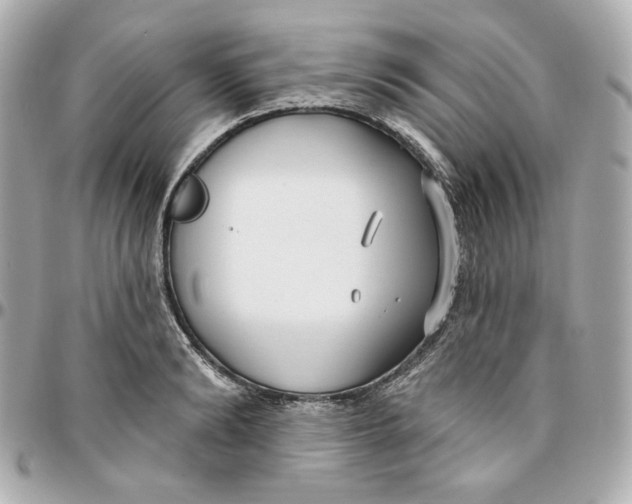 X0000095880894200802011041