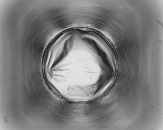 X0000095880895200802011041