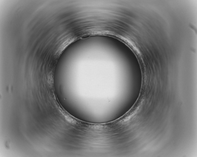 X0000095880897200802011041