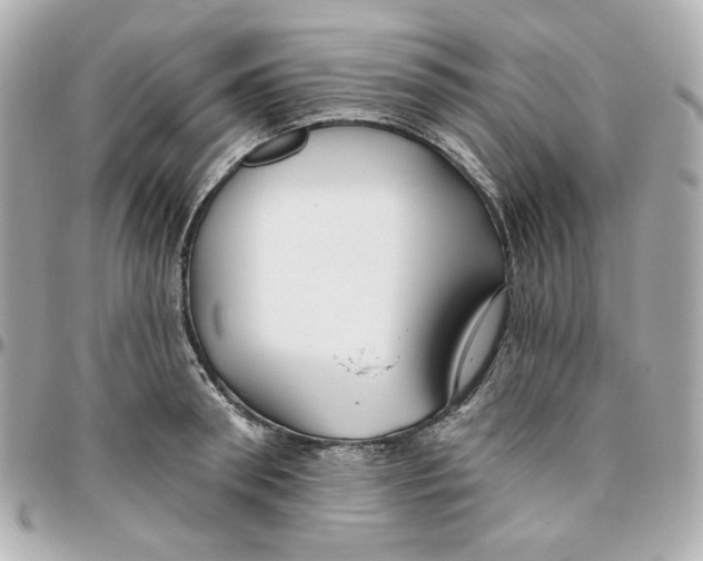 X0000095880898200802011041