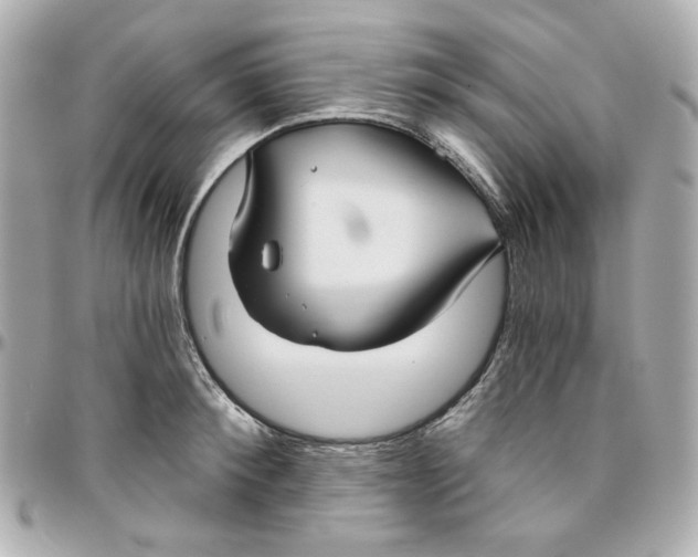 X0000095880900200802011041