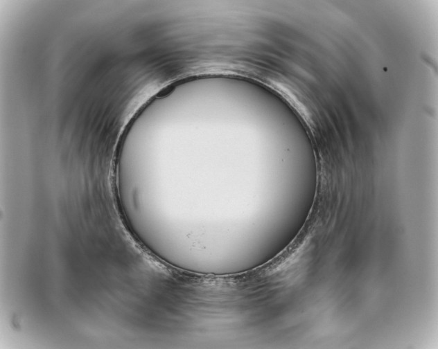 X0000095880901200802011041