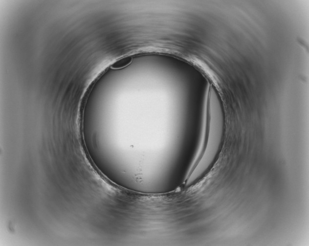 X0000095880902200802011041