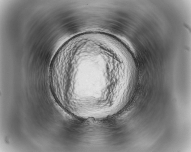 X0000095880903200802011041