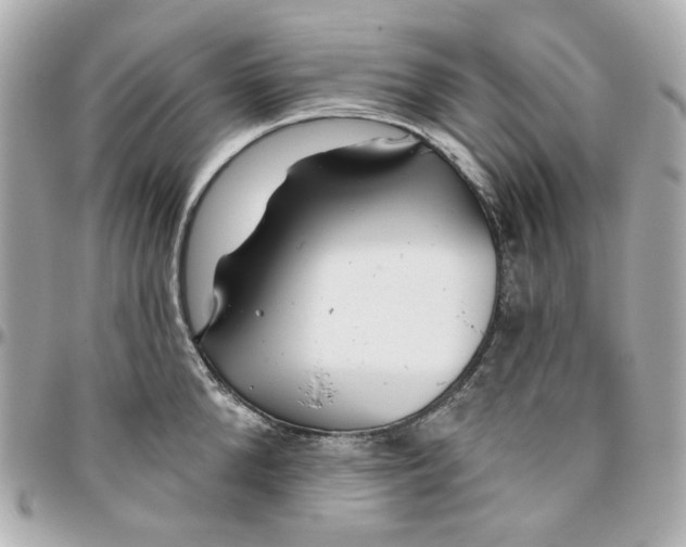 X0000095880904200802011041