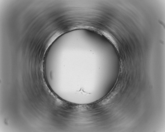 X0000095880906200802011041