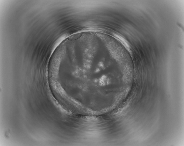 X0000095880907200802011041