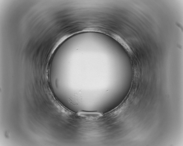 X0000095880908200802011041