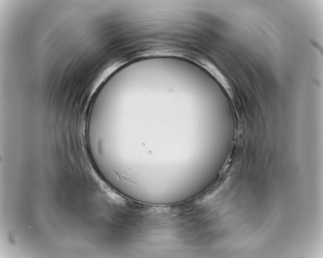 X0000095880909200802011041