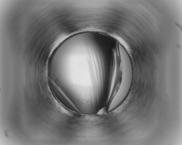 X0000095880910200802011041