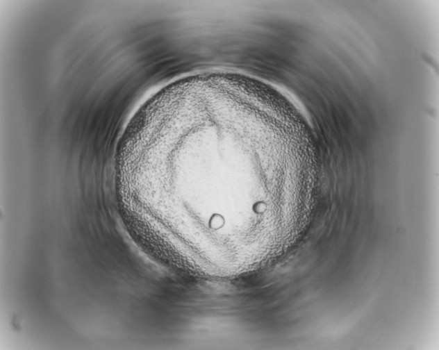 X0000095880911200802011041