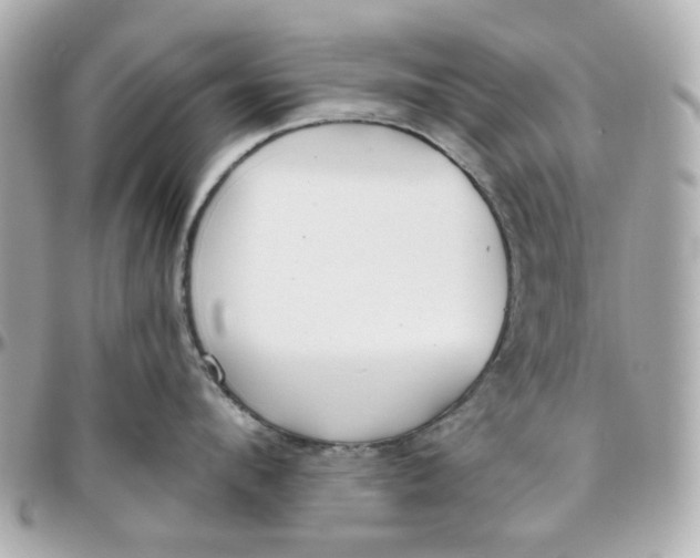 X0000095880912200802011041