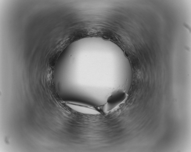 X0000095880914200802011040