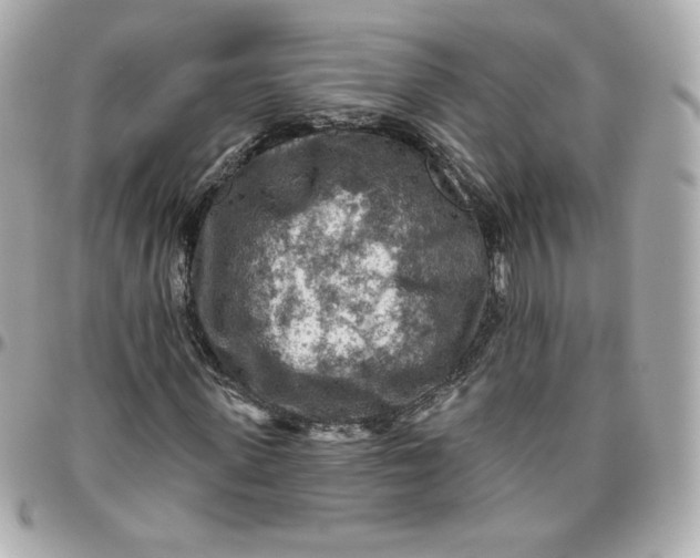 X0000095880915200802011040