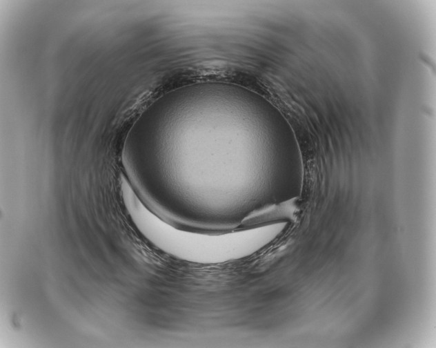 X0000095880916200802011040