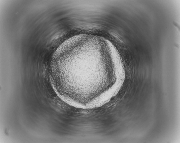 X0000095880917200802011040