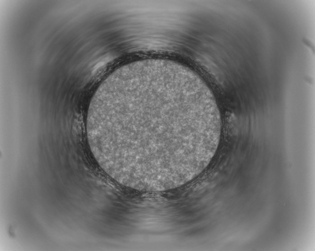 X0000095880918200802011040