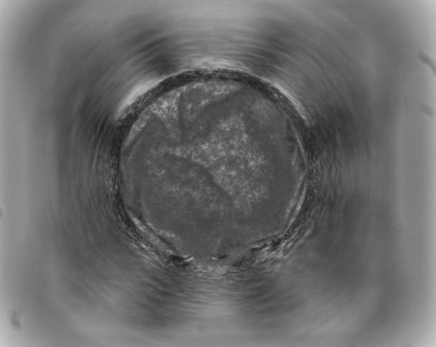 X0000095880919200802011040