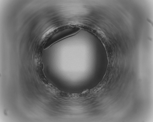 X0000095880920200802011040