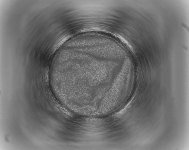 X0000095880921200802011040