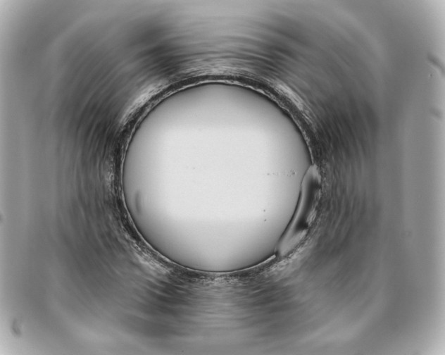 X0000095880922200802011040