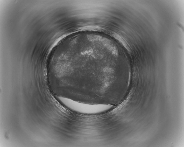 X0000095880923200802011040