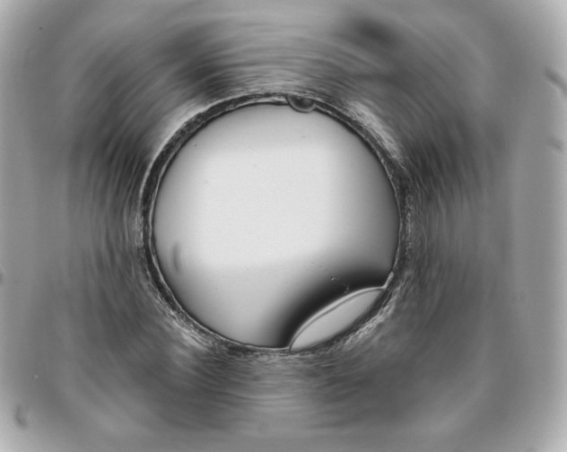 X0000095880924200802011040