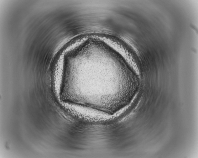 X0000095880925200802011041