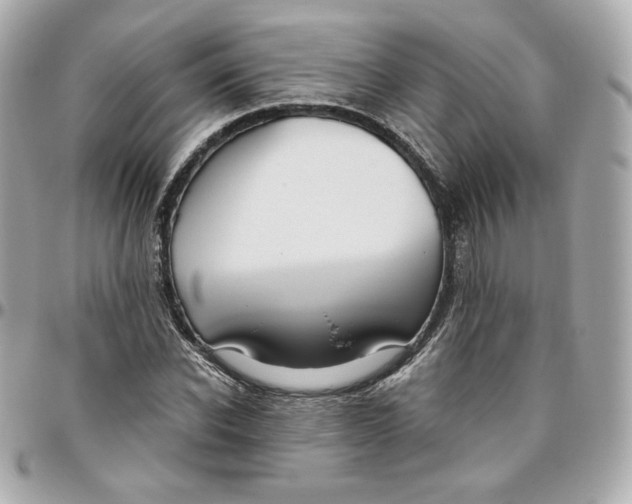 X0000095880926200802011041