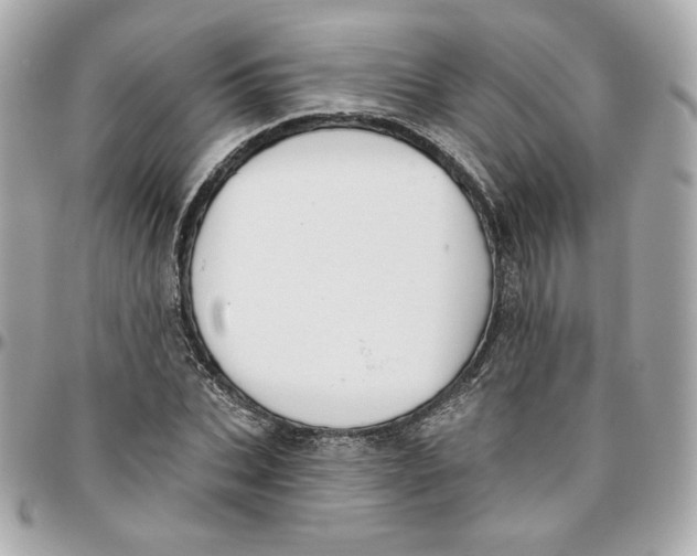 X0000095880927200802011041