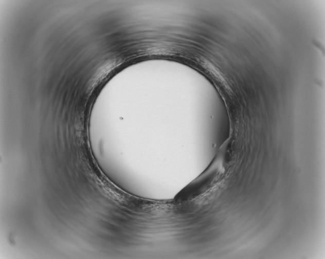 X0000095880930200802011041