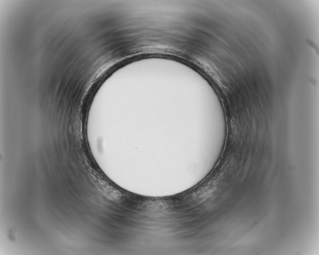 X0000095880931200802011041