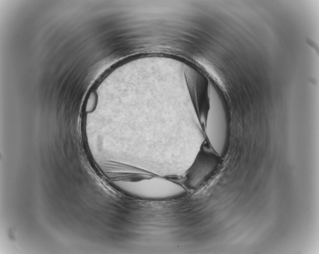 X0000095880932200802011041